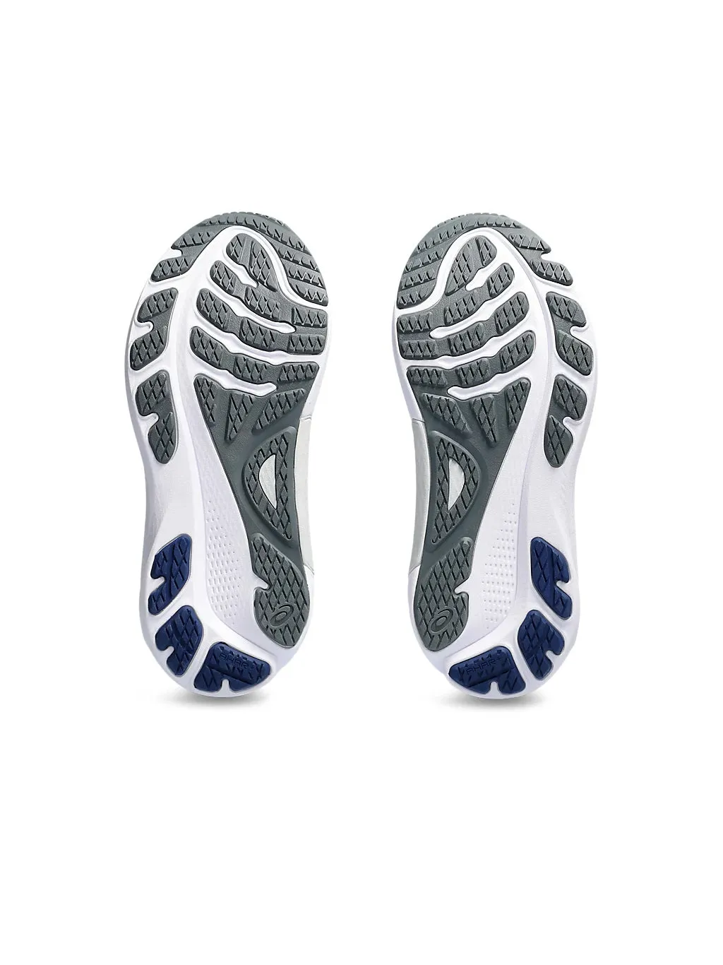 Asics Gel-Kayano 30 Women's Shoes